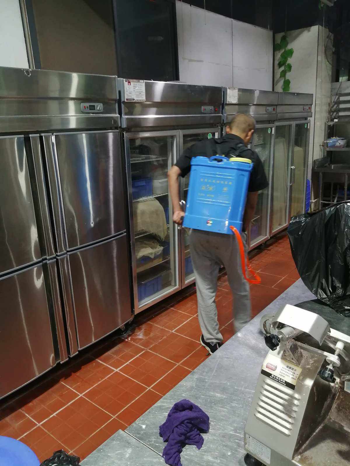 杀虫灭鼠费用(杀虫灭鼠服务公司)