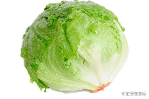 哪种生菜口感好(什么生菜品种好吃)