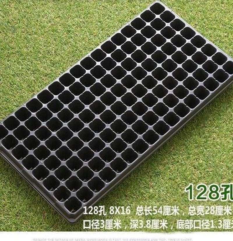 玉米软盘育苗(玉米软盘育苗实验报告)