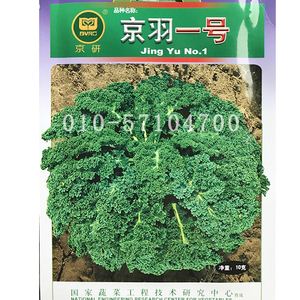 孕妇羽衣甘蓝(孕妇能吃羽衣甘蓝混合果汁吗)