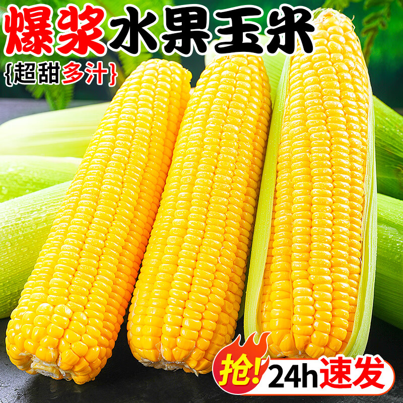 云南水果玉米一斤多少钱(水果玉米价格最新行情云南)