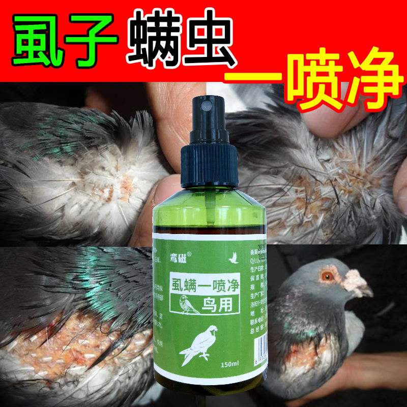 鸟杀虫用什么好(鸟的杀虫药哪里有)