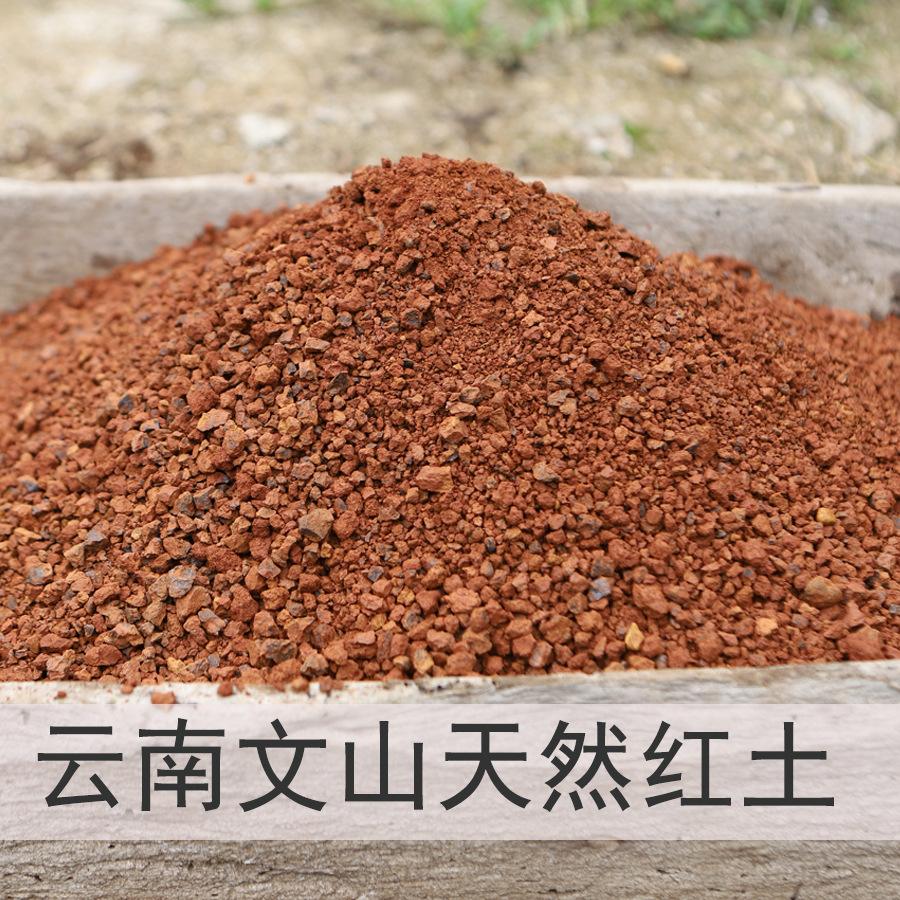 土(土豆兄弟)