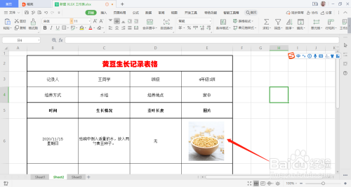 大豆的种植时间生长周期(大豆的种植时间生长周期是多少)