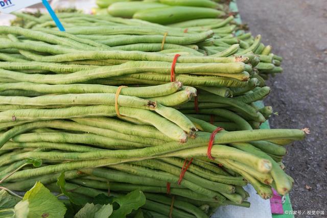 豆角是豆类食品吗(豆角是属于豆制品之类的吗)