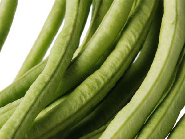 豆角是豆类食品吗(豆角是属于豆制品之类的吗)