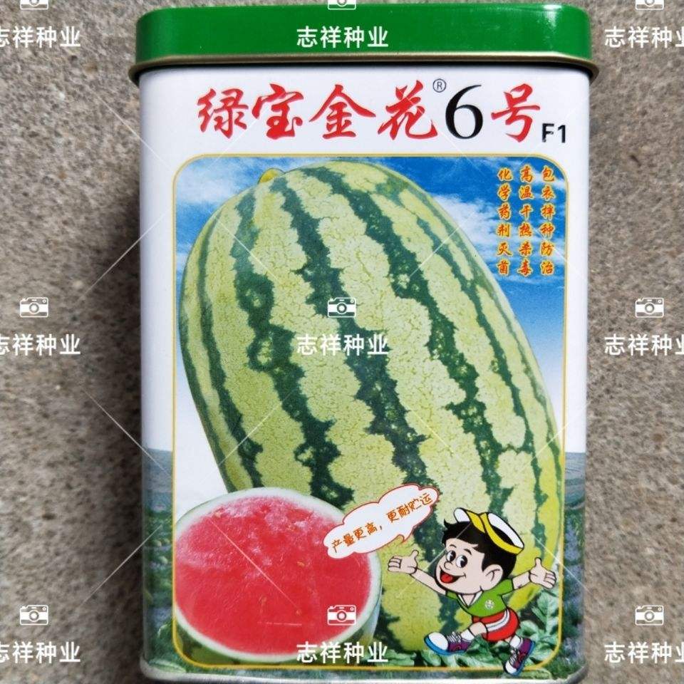 求购西瓜种子(西瓜种子哪里卖)
