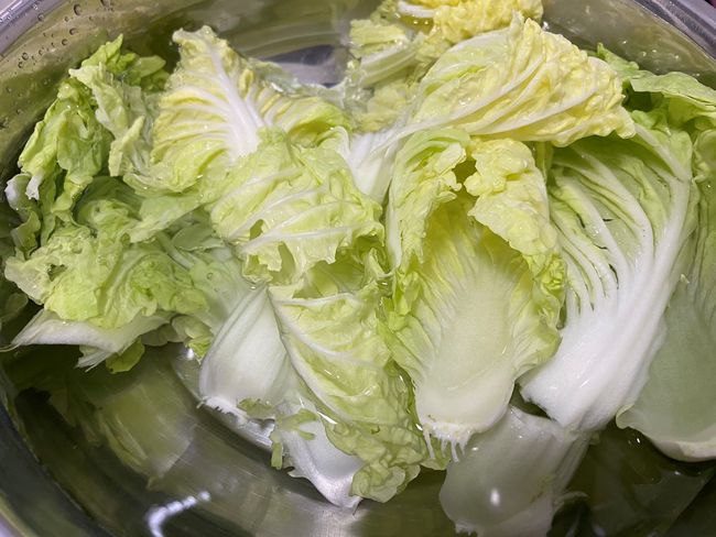10斤大白菜放多少盐(十斤白菜放多少盐腌酸菜)