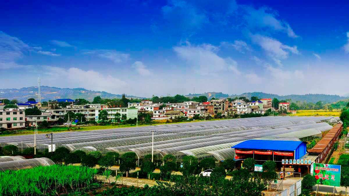 建设什么样的新农村(建设什么样的新农村好)