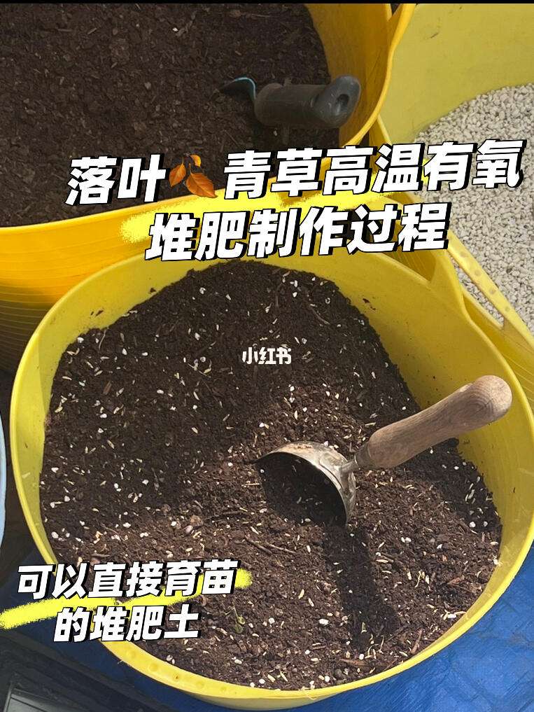 给土壤施肥(给土壤施肥用什么)