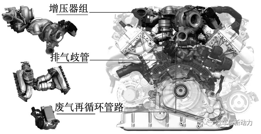 egr2基因(基因egfr是什么意思)