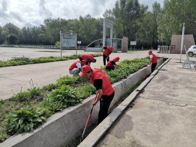 党员除草(党员除草活动图片大全)