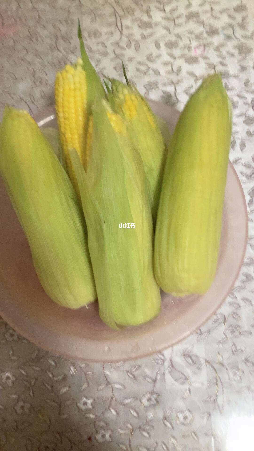 煮好的水果玉米怎么保存(煮好的水果玉米怎么保存不会坏)