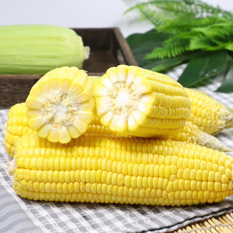 10斤水果玉米(水果玉米多少钱一吨)