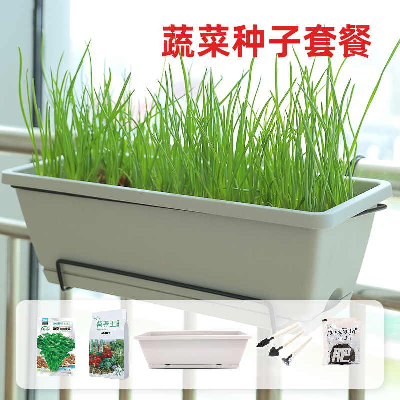 花盆种植生菜的方法(花盆种植生菜的方法视频)