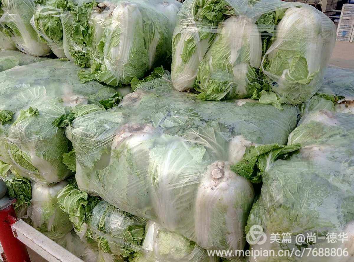 蔬菜产地(蔬菜产地合格证图片)