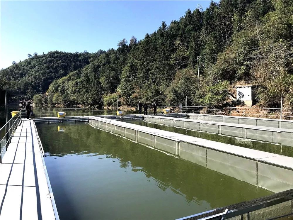 汉沽水产养殖(汉沽水产养殖基地在哪)
