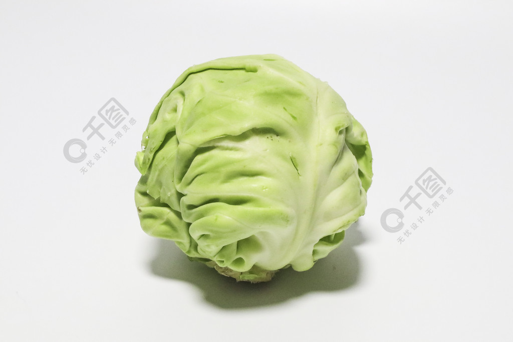 生菜甘蓝(生菜甘蓝莴苣写作文)