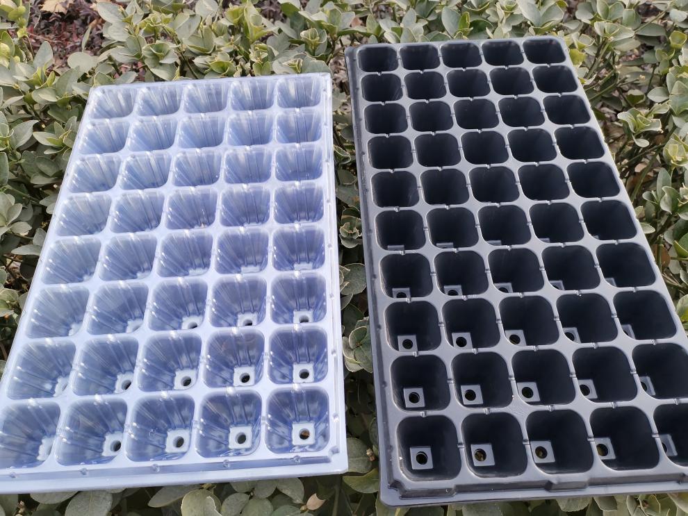 甘肃育苗穴盘报价(甘肃疫苗是那个厂家)