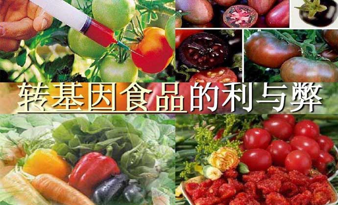 对转基因食品安全的认识(转基因食品安全的认识和理解)
