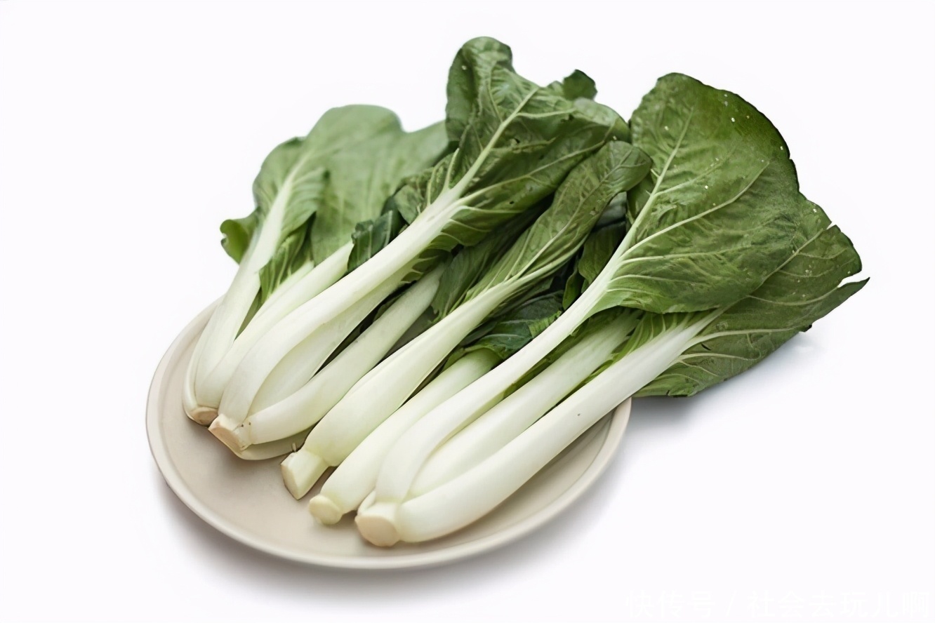 白菜的主要成分(白菜的主要成分营养成分是什么)