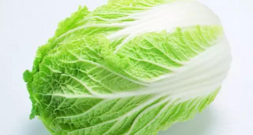 白菜的主要成分(白菜的主要成分营养成分是什么)