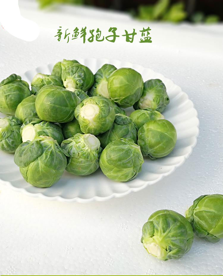甘蓝子的功效(甘蓝的功效与作用及禁忌蓝)