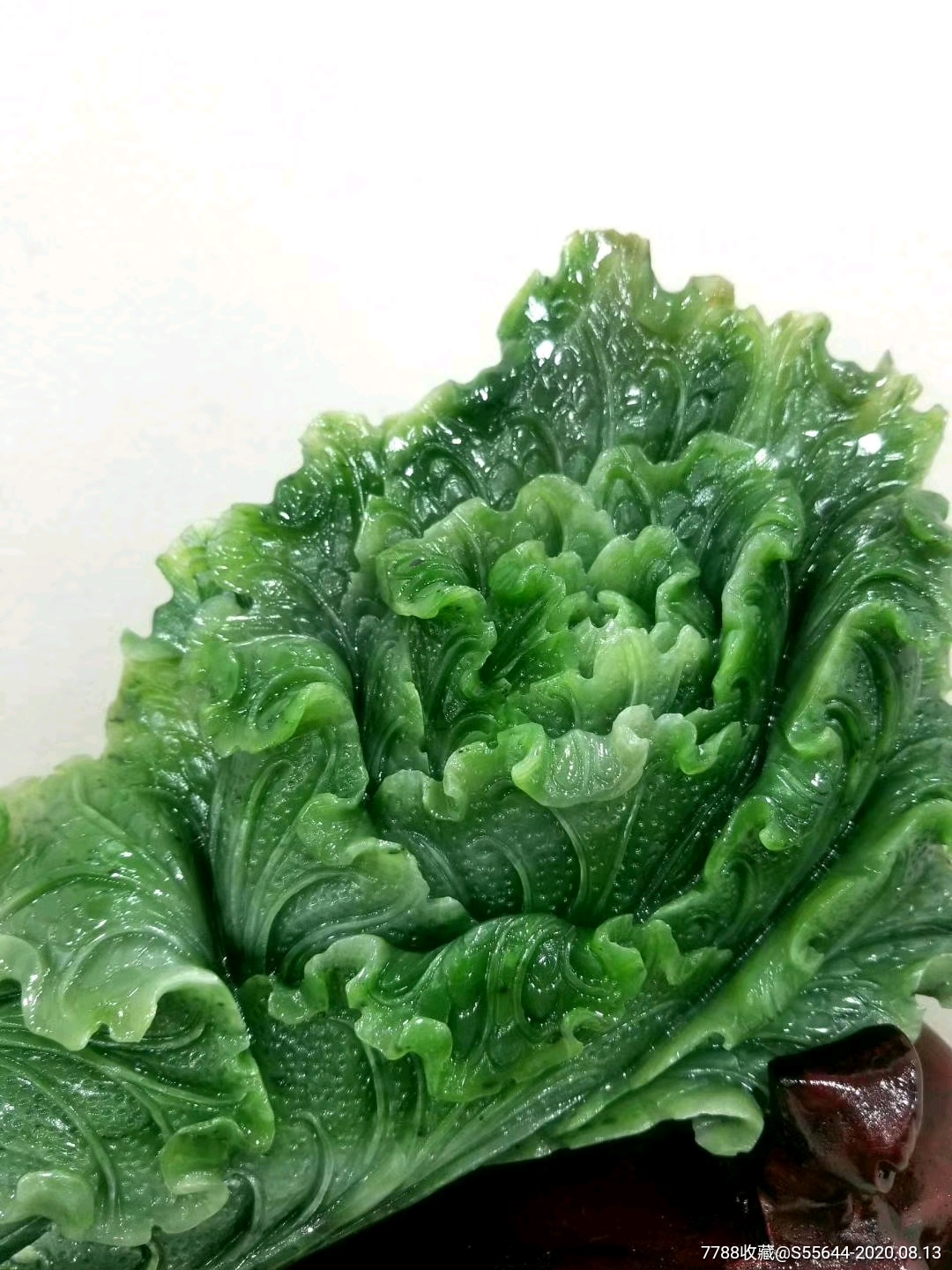 和田白菜(新疆和田白菜价格)