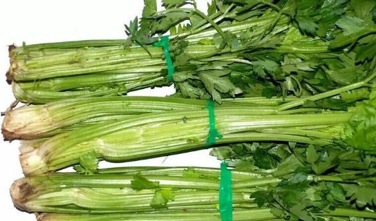 芹菜芥菜(芹菜芥菜能一起吃吗)