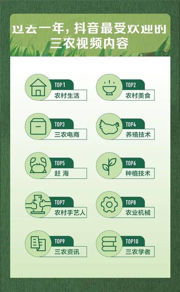 三农政策(2024年致富小项目)