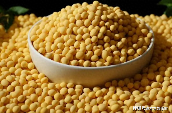 红薯有没有转基因(红薯有没有转基因产品)