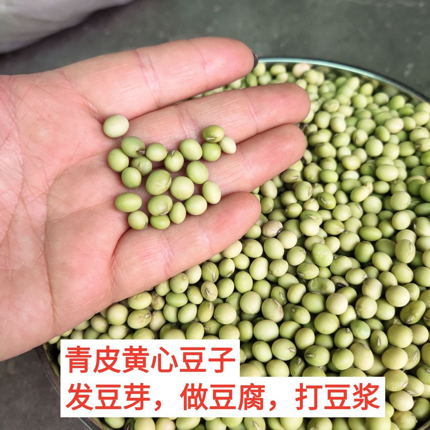 转基因大豆的用途(转基因大豆用途 比例)