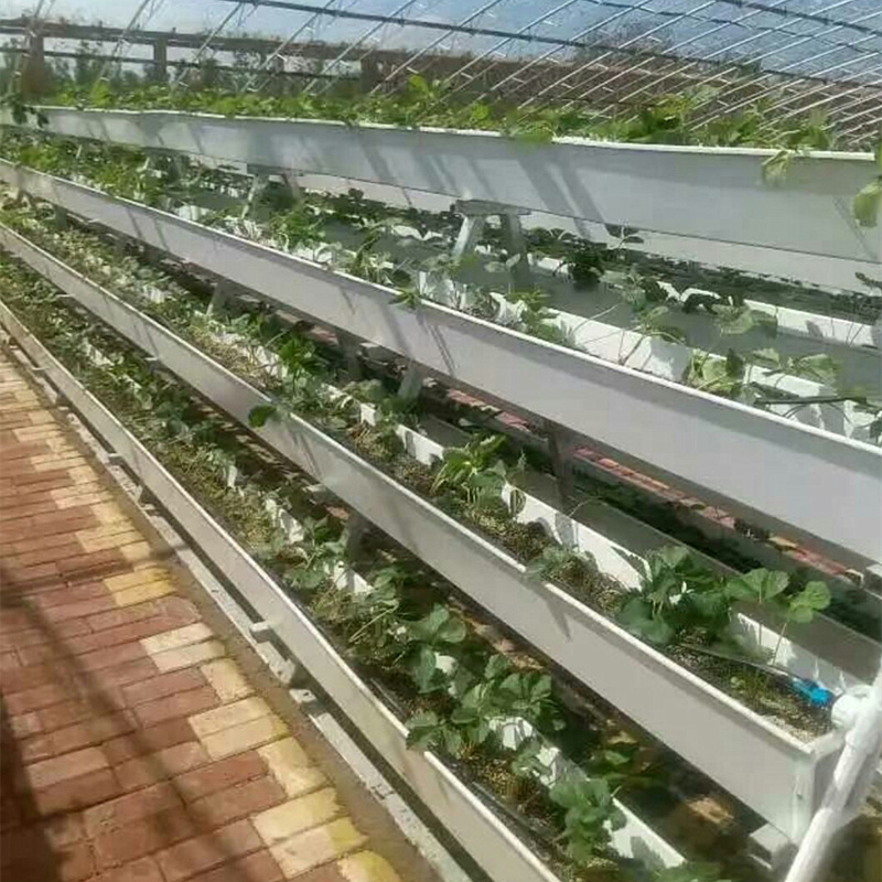 草莓泡沫种植槽(草莓泡沫盒厂家直销)