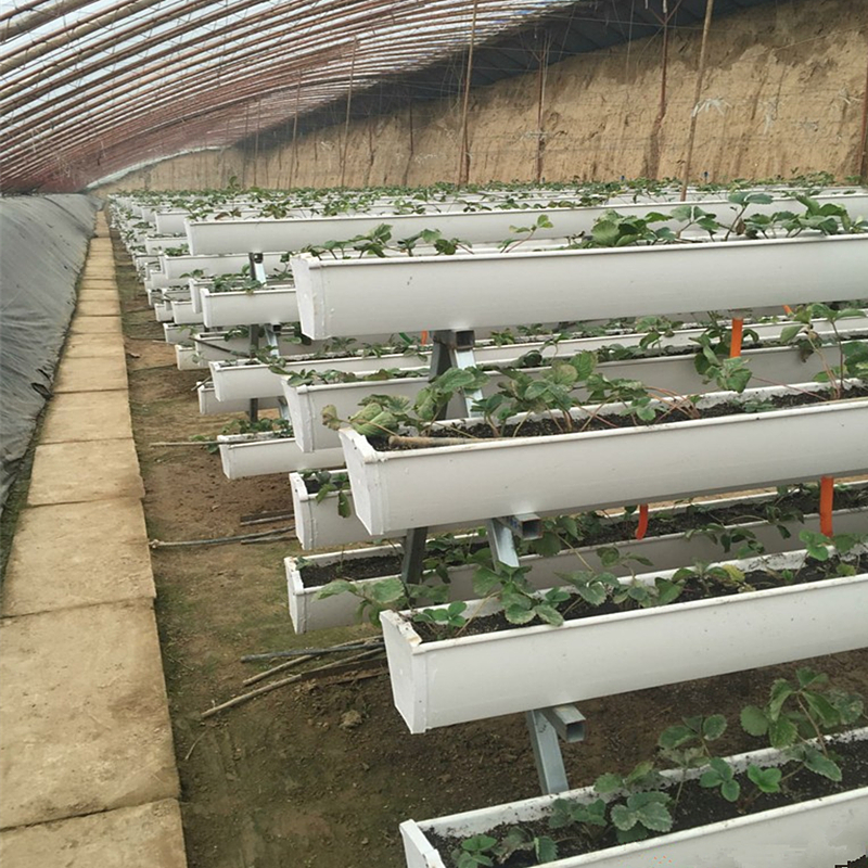 草莓泡沫种植槽(草莓泡沫盒厂家直销)