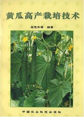 黄瓜高产技术(黄瓜高产栽培技术)