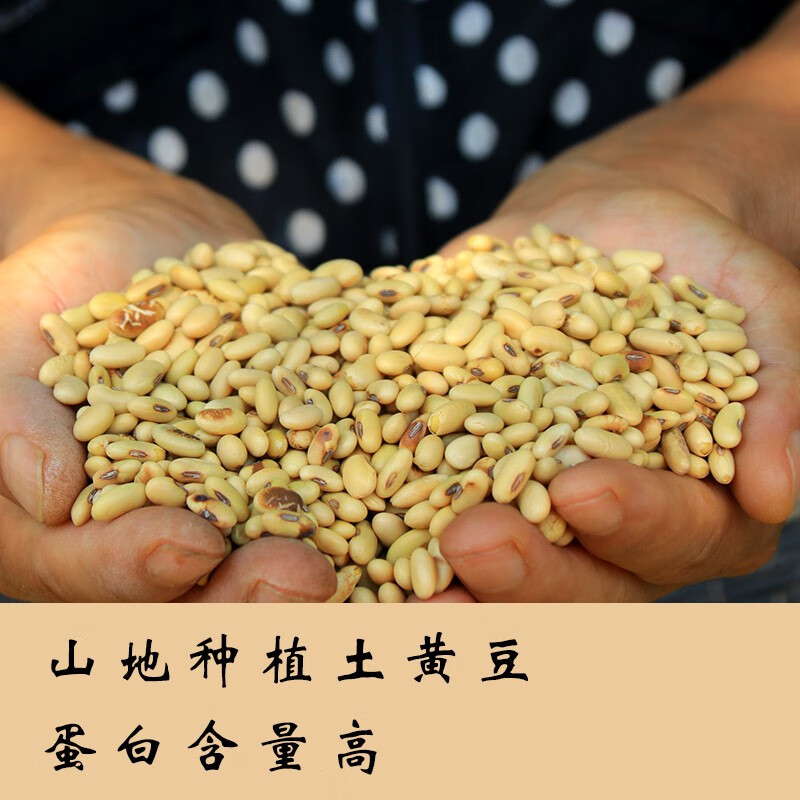 大豆种植要求(大豆种植要求盆大小)