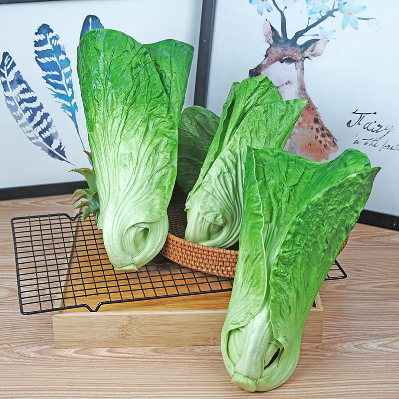 假芥菜(假芥菜头的功效与作用)