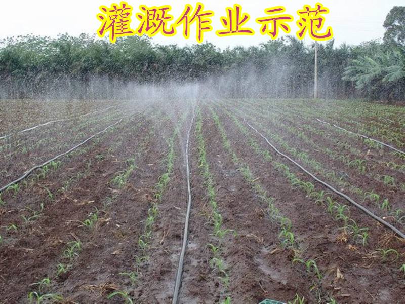 地上喷灌多少钱一米(喷灌浇地多长时间合适)