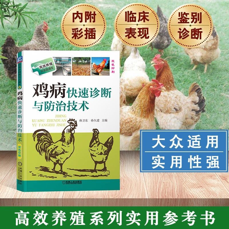 土鸡养殖技术与销售(土鸡的销售和宣传方法有哪些)