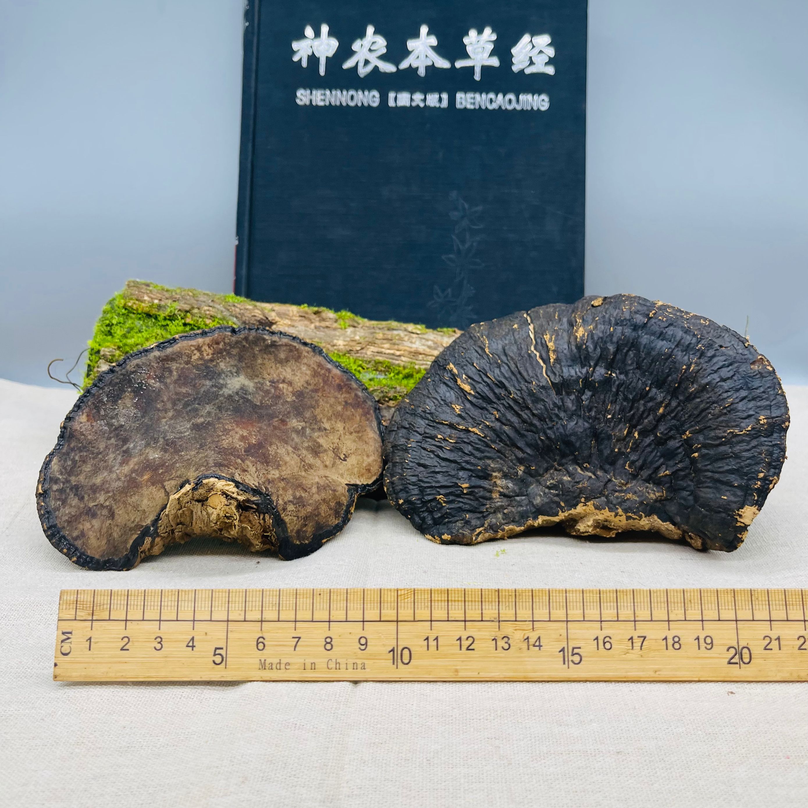灵芝种类及功效(灵芝有几种 有什么功效)