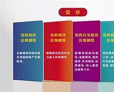 对党内法规的理解(党内法规的认识和实际工作结合)