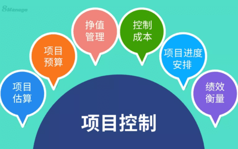 项目后期管理(项目后期管理单位是否可以参与前期招投标)