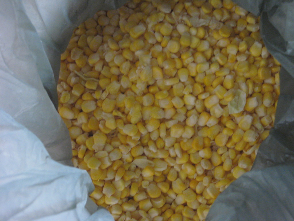鲜玉米冷冻技术(鲜玉米怎么冷冻好)