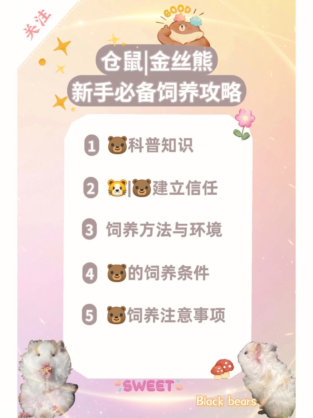 仓鼠的养殖技术(仓鼠的养殖技术视频)