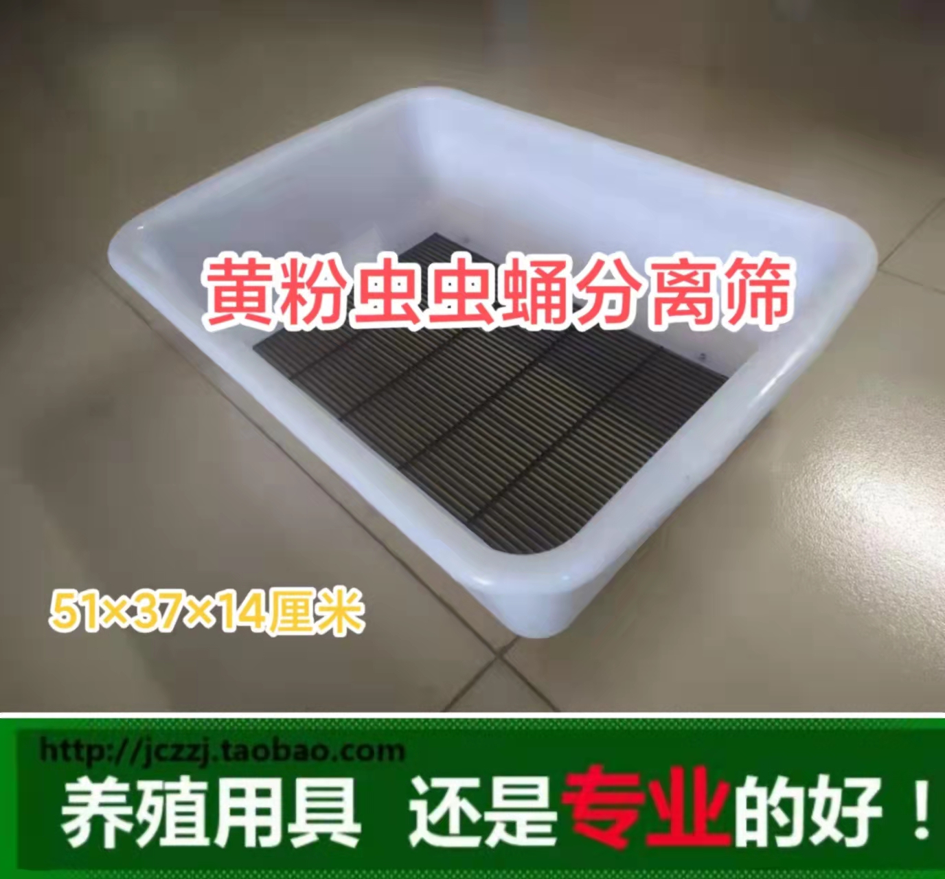 蛋白虫的养殖与技术(蛋白虫的养殖相关资料)