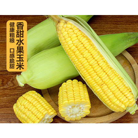 水果玉米甜玉米(水果玉米甜玉米糯玉米的区别)