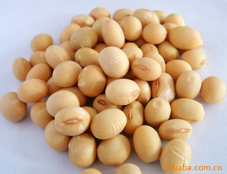 豆类产品有哪些(豆类食品都有哪些?)