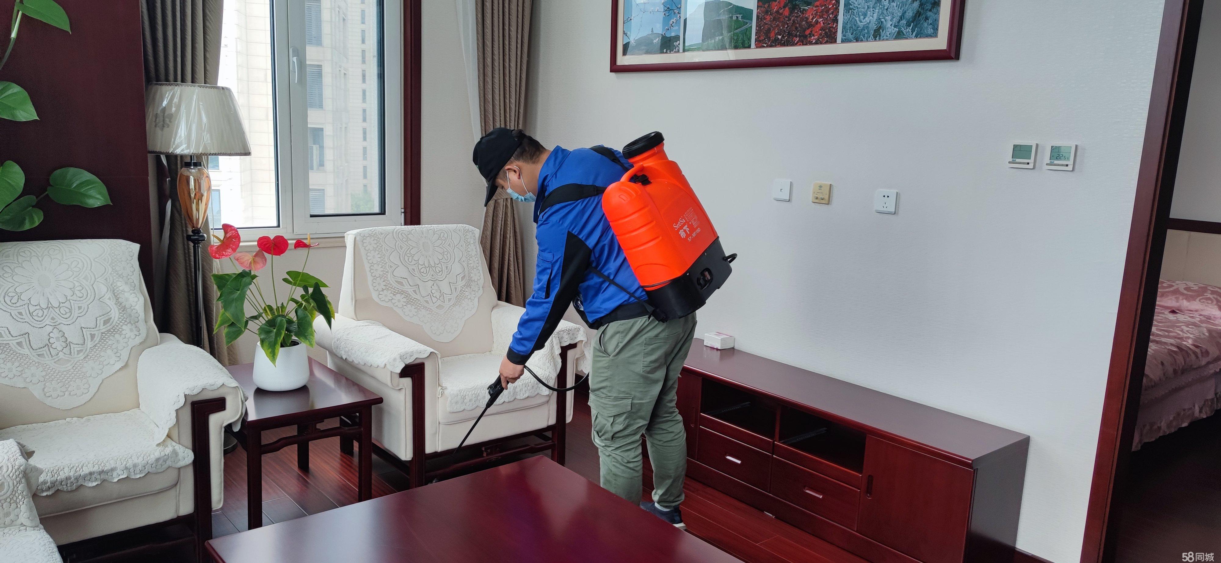 家庭上门除虫上海(上门除虫这种人是卖药的吗)