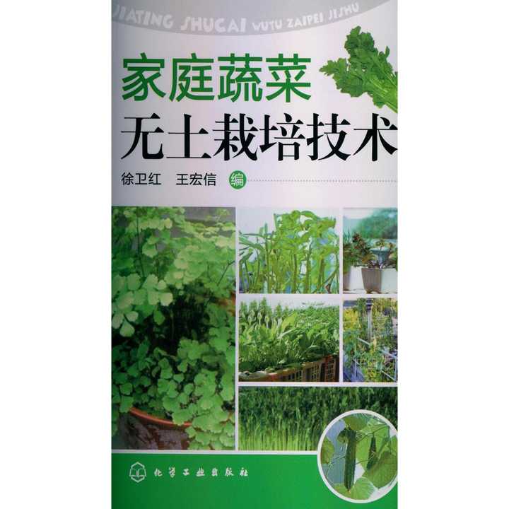 蔬菜栽培技术书籍(蔬菜栽培技术pdf下载)