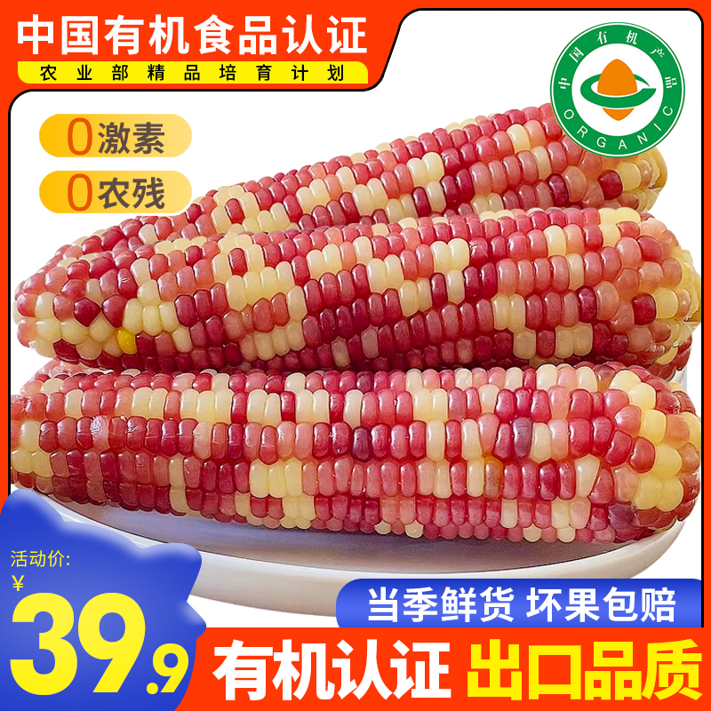 多彩玉米是转基因吗(多彩玉米是转基因吗知乎)